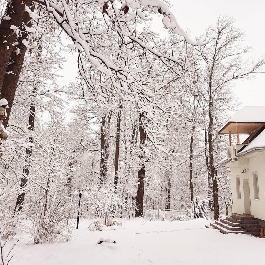 Magnolia Otel Kanije Dış mekan fotoğraf